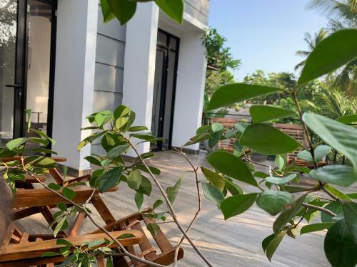 Hostal Sasen Villa Anuradhapura
