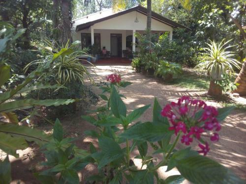 Ossa Home Stay