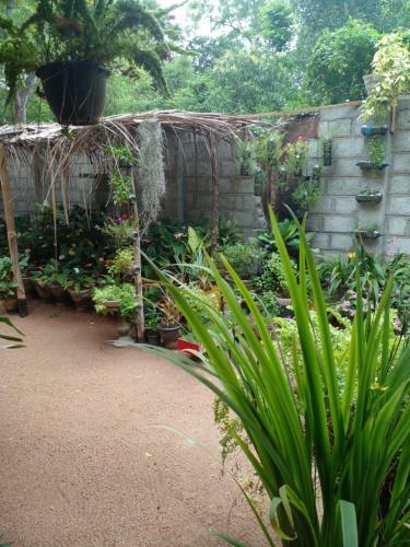 Ossa Home Stay
