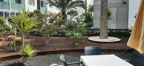 Stunning And Sunny Garden Apartment In Corralejo
