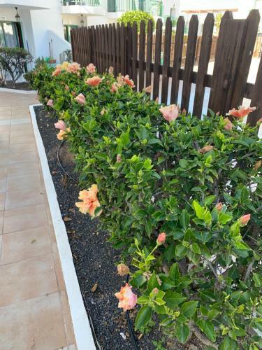 Apartamento San Valentine