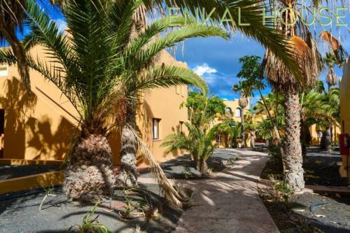 Apartamento Corralejo Enkal House 4 Persons - Garden View