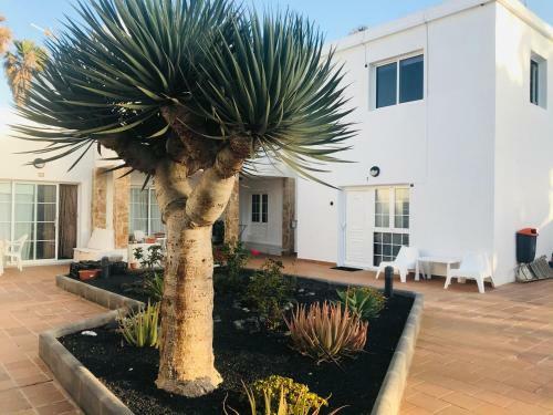 Apartamento Olas De Lobos
