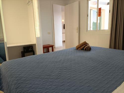 Apartamento Calima Lodge Corralejo