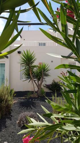 Apartamento Calima Lodge Corralejo