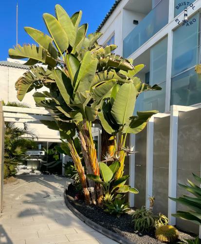 Apartamento Digital Bristol El Faro - Wifi Free & Pool - 3 Persons