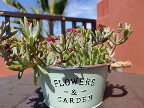 Apartamento Casa Poppins