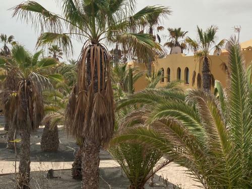 Apartamento Oasis Papagayo 27b