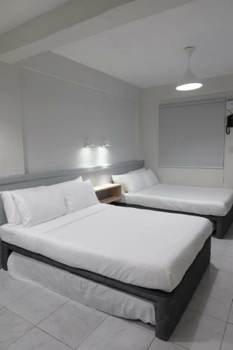 Dragonfly Apartments And Transient House