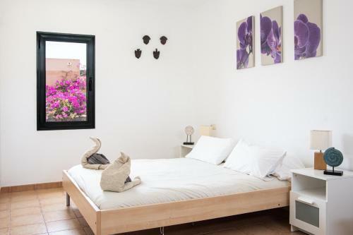 Great Villa With Private Pool Near Corralejo Es