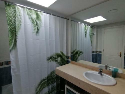 Oasis Waves House