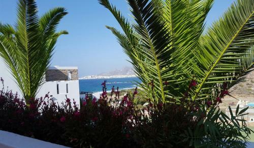 Hotel Naxos Magic Village