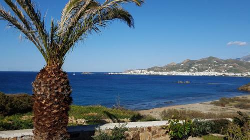 Hotel Naxos Magic Village