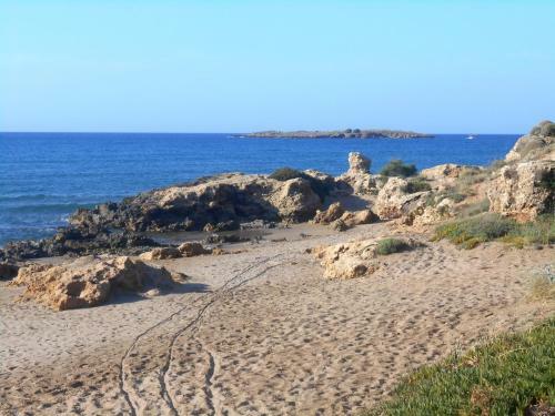 Ilona Apartments Chania