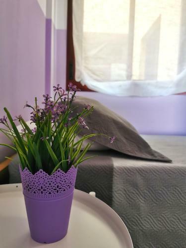 Apartamento Anais Dreams&relax