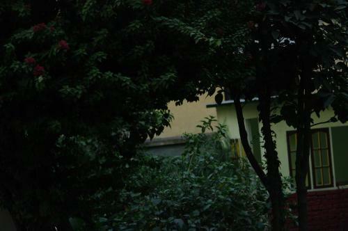 Hostal Laughing Buddha Hotel & Garden Theater