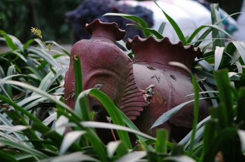Hostal Laughing Buddha Hotel & Garden Theater
