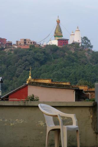 Hostal Laughing Buddha Hotel & Garden Theater