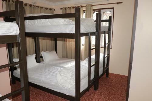 Birds Nest Hostel