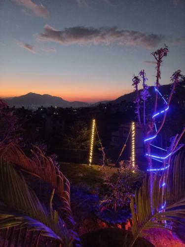 Hotel Green Palm Boutique Resort