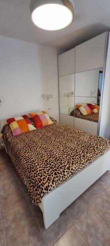 Apartamento Alojamientos Momi 2