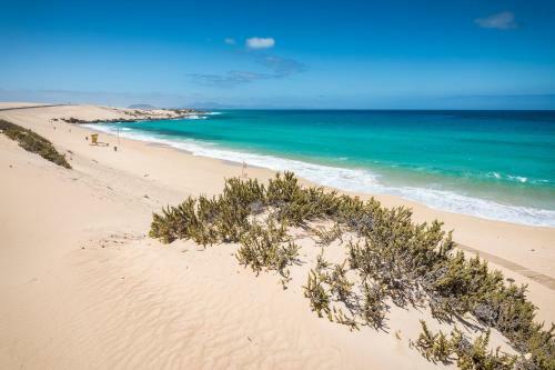 Apartamento Home2book Casa Nora Corralejo Center, Wifi