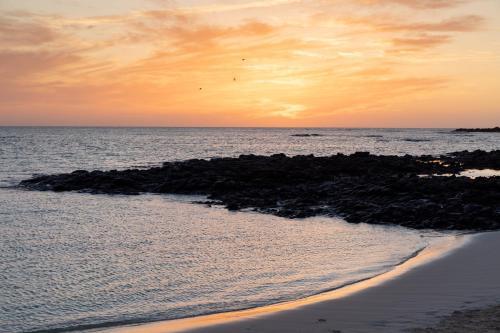 Home2book Design Hola Jag Wifi & Pool Apartment