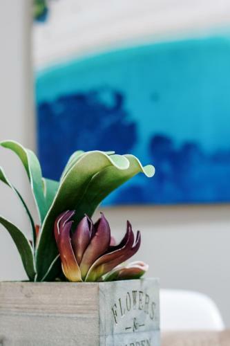 Fuerteventura Apartaments Tamarindo 1