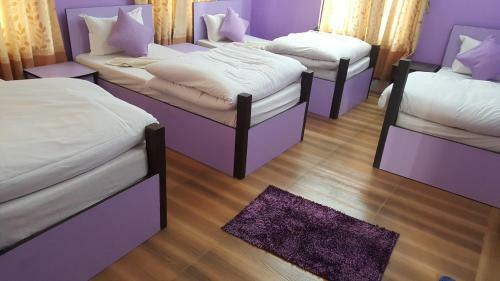 Bed & Breakfast Bnb Royal Tourist House