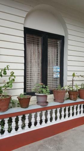 Bed & Breakfast Bnb Royal Tourist House