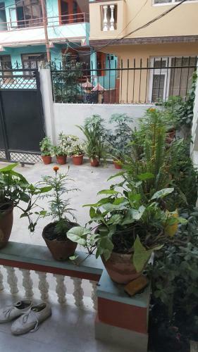 Bed & Breakfast Bnb Royal Tourist House