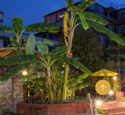Bed & Breakfast Thamel Eco Resort