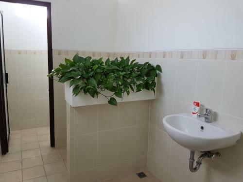 Hostal Jos&hanny