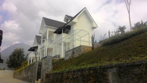 Posada Amaranta Guest House