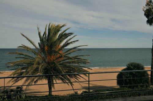 Apartamento Marenia, D�plex En Primera L�nea De Playa