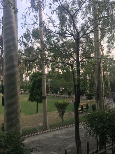Apartment Near Shaukat Khanum