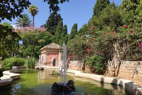 Lovely Apartment Denia, Piscina, Jacuzzi, P�del, Parking