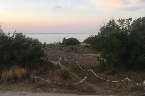 Apartamento Primera L�nea