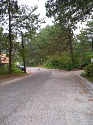 Hostal Koinonia Retreat Center