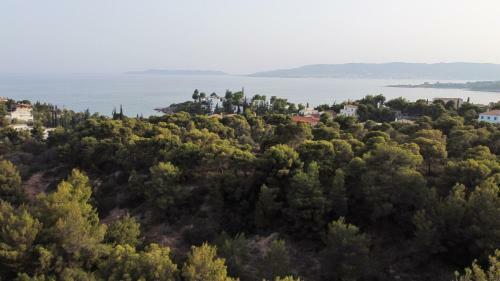 Pleiades Luxury Apartments