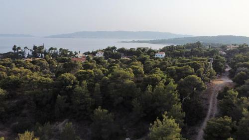 Pleiades Luxury Apartments