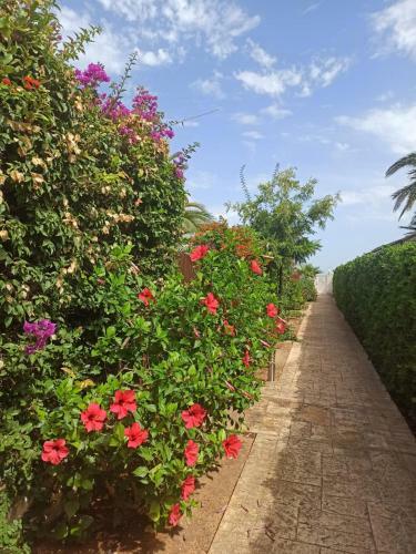 Apartamento Meridiano Playa Devesses Denia