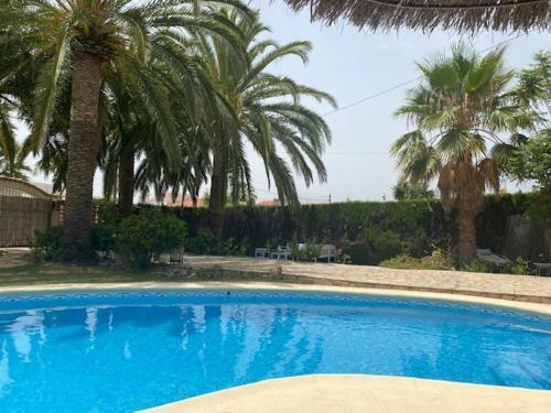 Villa Palmera Playa Almadrava, Els Poblets , Denia