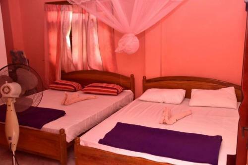 Hostal Mountain Top Guest