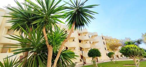 Apartamento La Felicidad By Denia Costa
