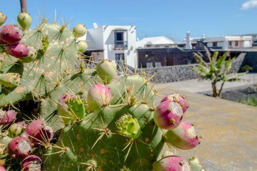 Agroturismo Casa Los Veroles Lanzarote