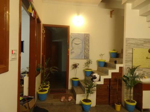 Yomad Hostel - Yoga & Travel