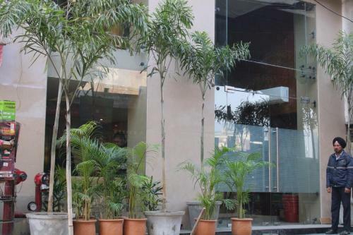 Bed & Breakfast Avexia Residency Sagar Hotel