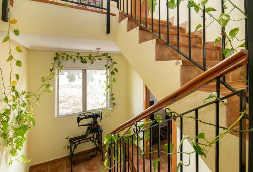 UNA Casa Con Vistas En Mula