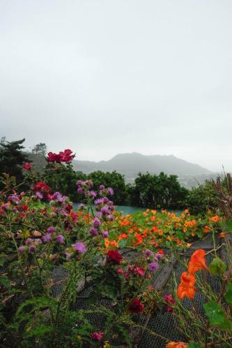 Hostal Finca Flor De Ciruelo